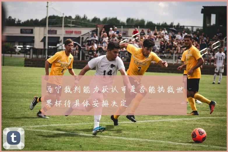 马宁裁判能力获认可是否能执裁世界杯待具体安排决定
